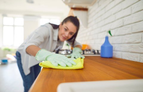 General-Cleaning-and-Housekeeping General-Cleaning-and-Housekeeping